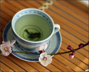 子宮内膜症.jpg