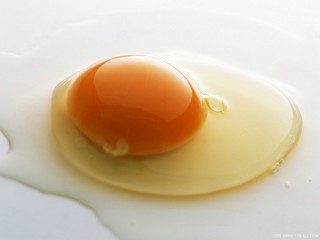 egg.jpg