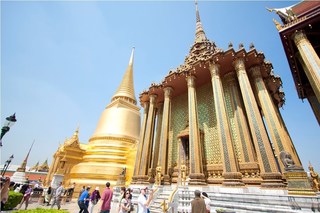 thaifertility_egg_donation.jpg